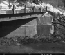 Bridge over Muddy River