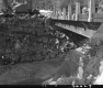 Bridge over Muddy River