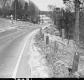 Wood Poles by Paved Road