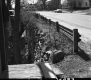 Stone Wall by Paved Road
