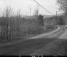 Dirt Road and Trees