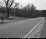 Trees by Paved Road