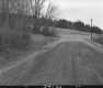 Dirt Road and Trees