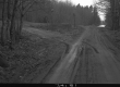 Dirt Roads