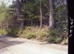 Covalt's Landscape 