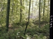 Flory's Property