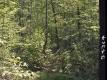 Flory's Property
