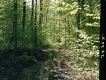 Flory's Property