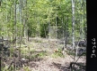Flory's Property