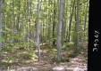 Flory's Property
