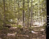 Flory's Property