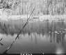 Coburn Pond