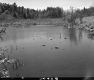 Coburn Pond