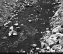 Stream North of Road Crossing