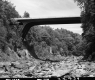 Highgate Bridges