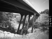 Highgate Bridges