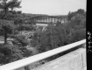 Highgate Bridges