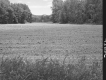 Rutland Development Corporation