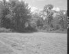 Rutland Development Corporation