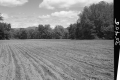 Rutland Development Corporation