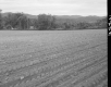 Heleba's Landscape