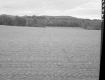 Heleba's Landscape