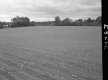 Heleba's Landscape