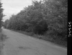 Heleba's Landscape