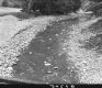 Brook in Huntington