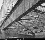 Safety Nets