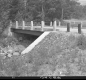 Bridge Over Gold Brook