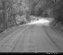 Dirt Road in Barre