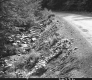 Dirt Road in Barre