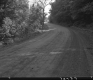 Dirt Road in Barre