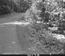 Dirt Road in Barre