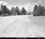 Dirt Road in South Burlington