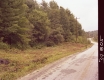 Color Image of Paved Road