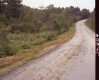 Color Image of Paved Road