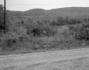 Wooded Mountains by Dirt Road