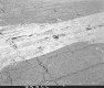 Airport Runway