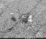 Airport Runway Crack