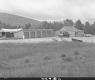 Field in Front of Garage