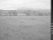 Field and Mountains