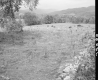 Field and Mountains