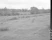 Grassy Slope