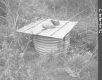Spring Housing in Field