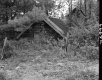 Cabin in Woods