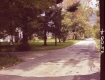 House by Paved Road