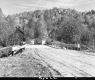 Dirt Road and Bridge