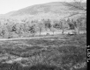 Field with Cart by Mountain